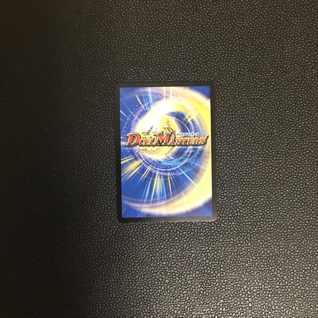 「雷光の聖騎士」