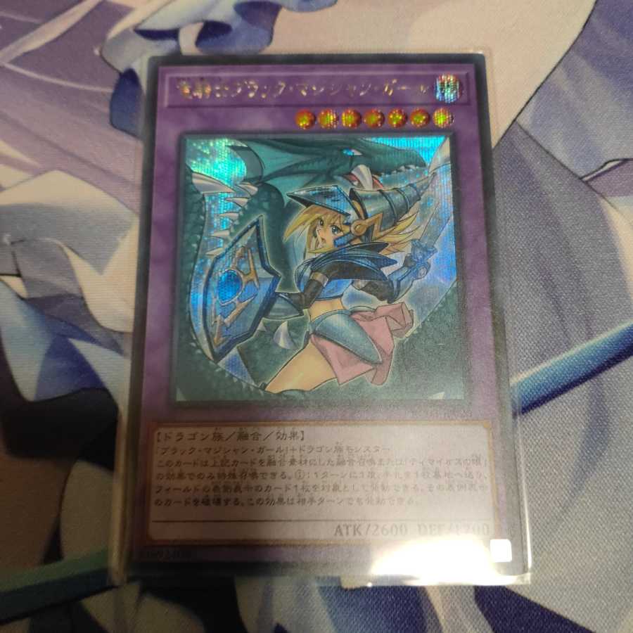 竜騎士ブラック・マジシャン・ガール(新規イラスト) シークレットレア