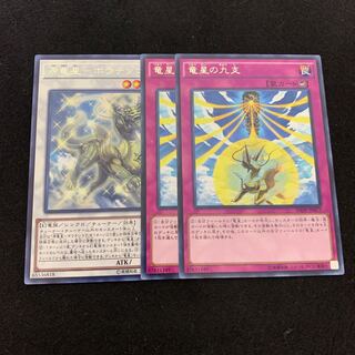 源竜星-ボウテンコウ レア　竜星の九支　レア