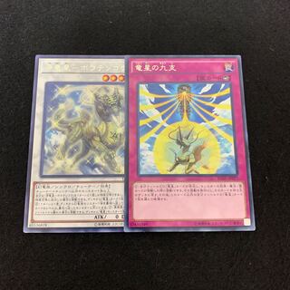 源竜星-ボウテンコウ レア　竜星の九支　レア