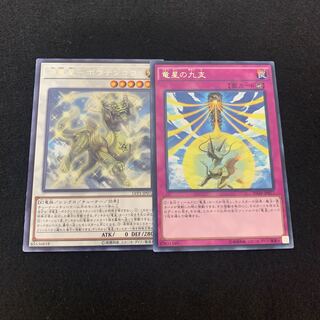 源竜星ｰボウテンコウ　レア　竜星の九支　レア