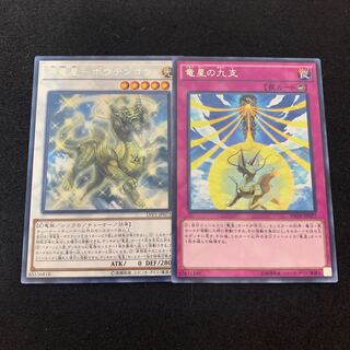 源竜星ｰボウテンコウ　レア　竜星の九支　レア