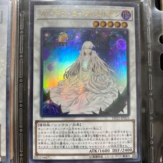 ガーデン・ローズ・メイデン ウルトラレア