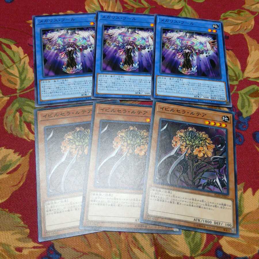 ❁【N】メガリス・フール&イビルセラ・ルテア 【ノーマル】3枚ずつ ❆バシャラ