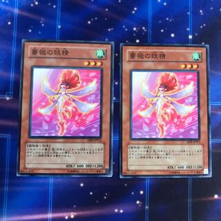 薔薇の妖精　2枚