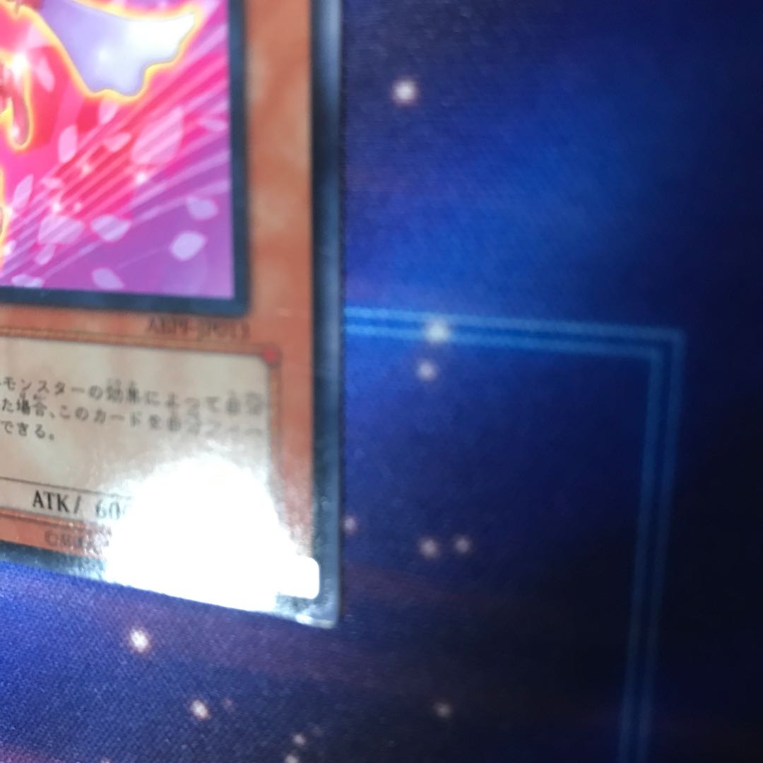 薔薇の妖精　2枚