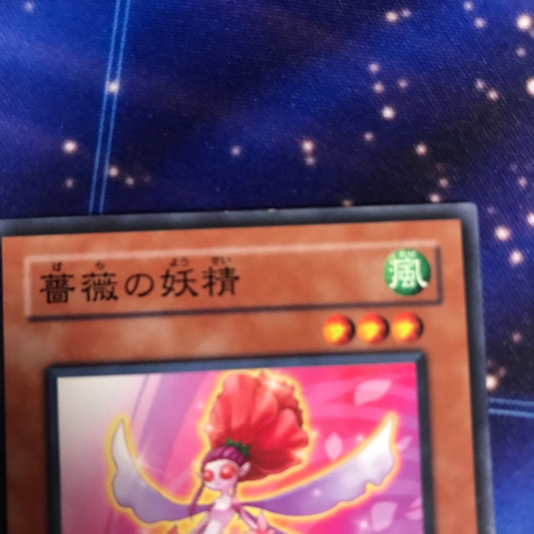 薔薇の妖精　2枚