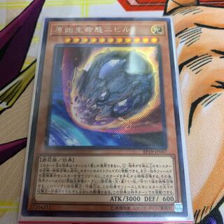 原始生命態 ニビル