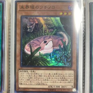 未界域のツチノコ スーパーレア