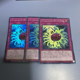 バージェストマ・ディノミスクス　３枚