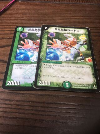 薫風妖精コートニー