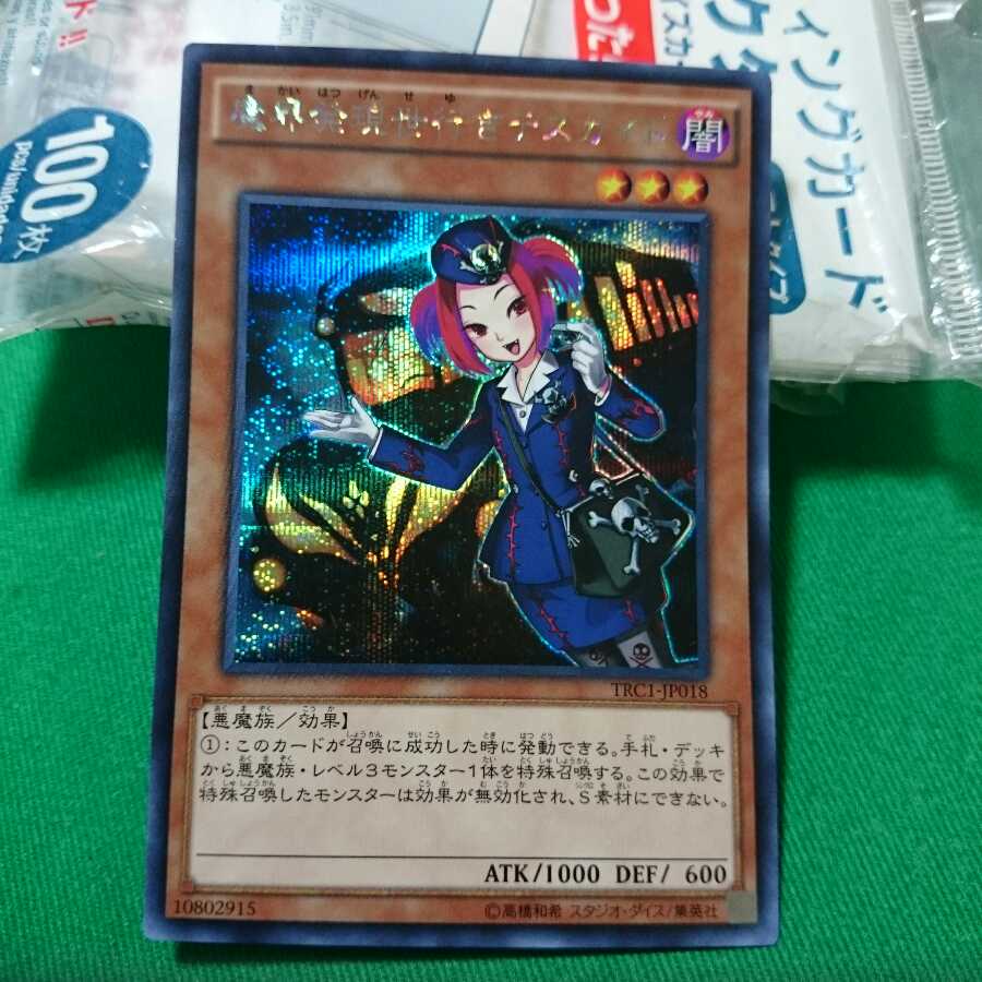 魔界発現世行きデスガイド シク