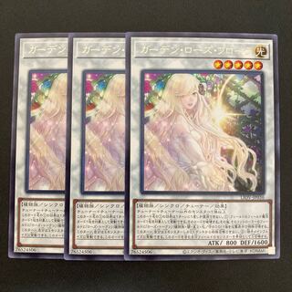 ガーデン・ローズ・フローラ レア