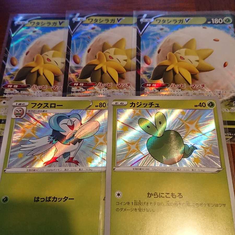 ワタシラガV RRなど