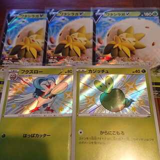 ワタシラガV RRなど