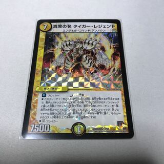 真実の名 タイガー・レジェンド