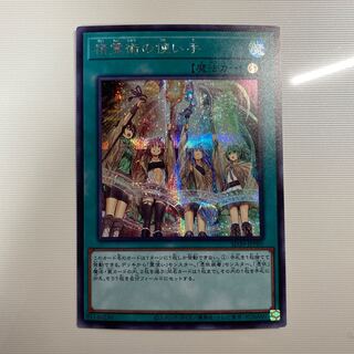 精霊術の使い手　シク　シークレット