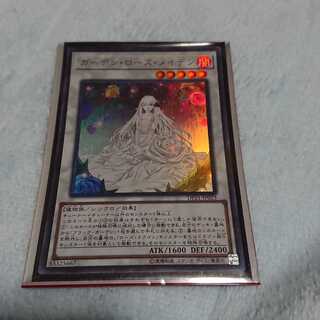 ガーデン・ローズ・メイデン 一枚