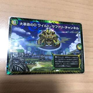 大革命のD ワイルド・サファリ・チャンネル