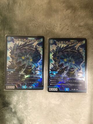 水上第九院 シャコガイル　2枚セット