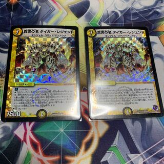 真実の名 タイガー・レジェンド　2枚