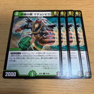 NO.1996 呼織の鎖 マチョシビロ C 81/95