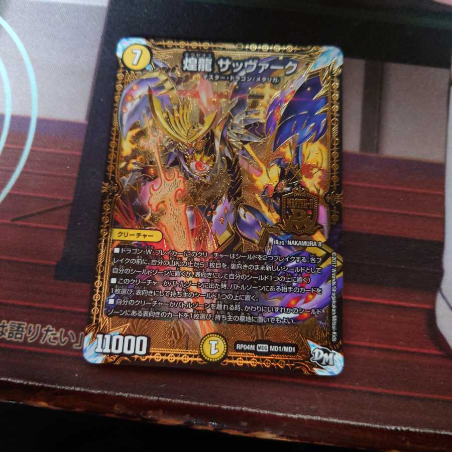 煌龍 サッヴァーク