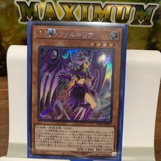 混沌のヴァルキリア