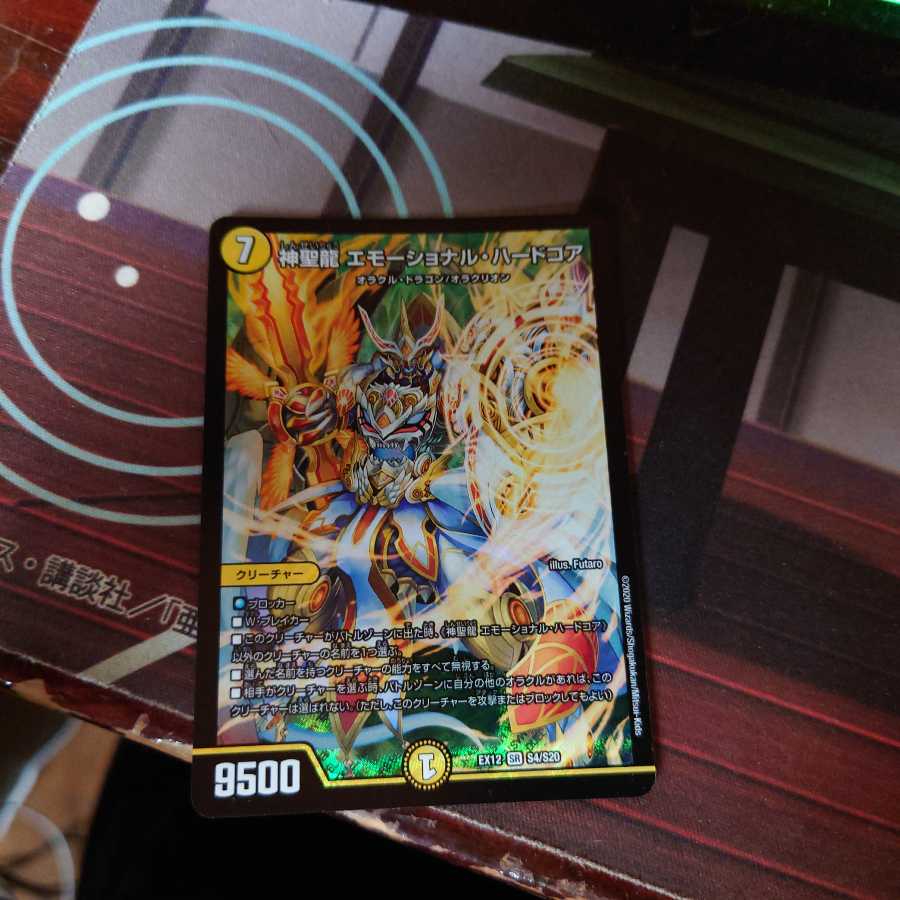 神聖龍 エモーショナル・ハードコア