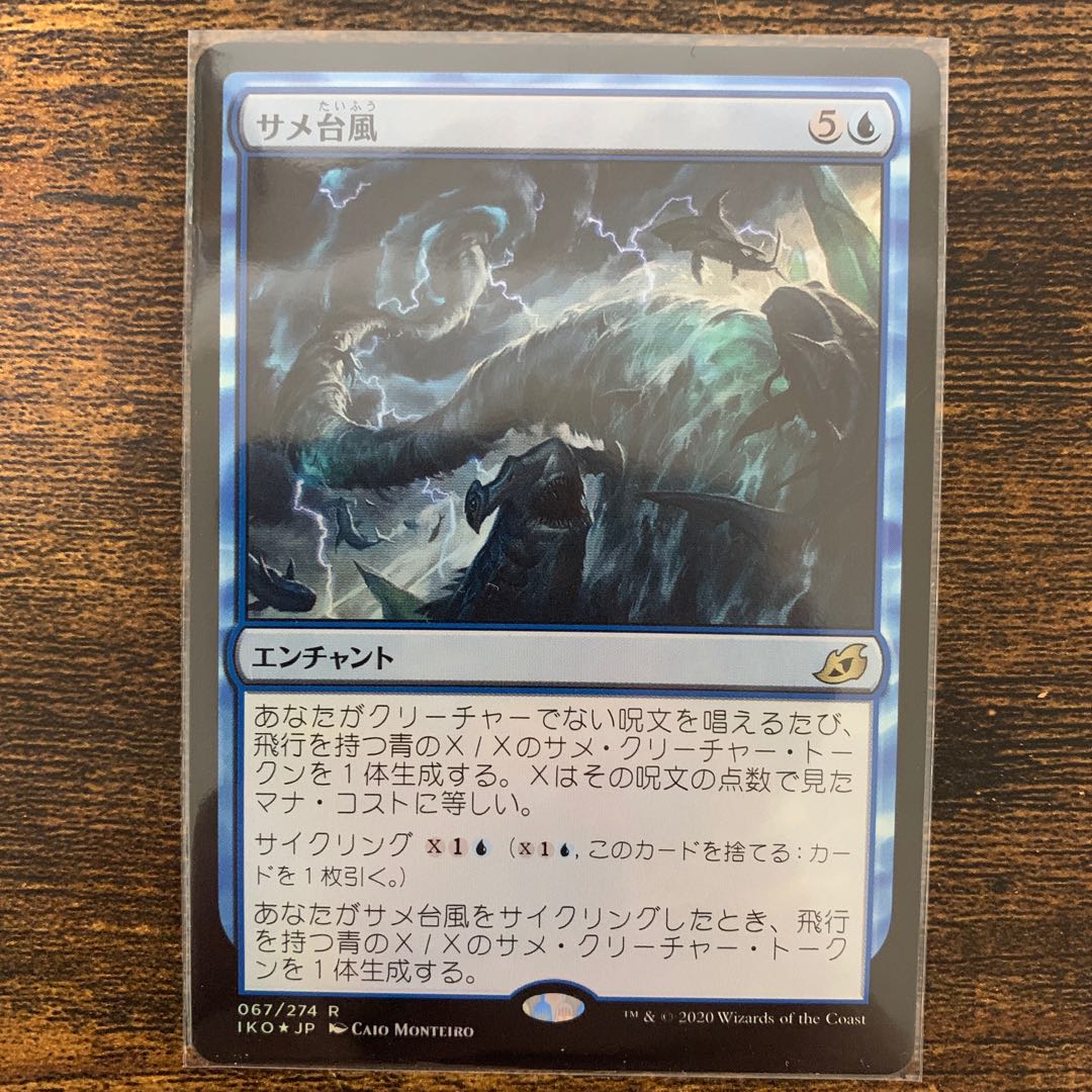 サメ台風 日本語 FOIL