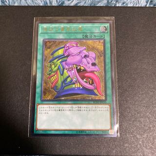 強欲で貪欲な壺 アルティメットレア