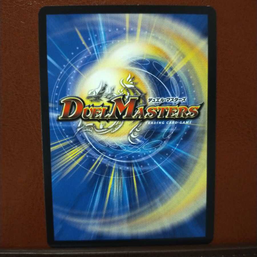 old3169 set discount Ku Squirrel Tant Bernamere