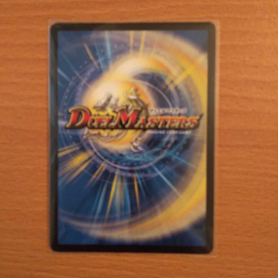 【最終値下げ】偽りの王 ナンバーナイン｜歓喜の歌