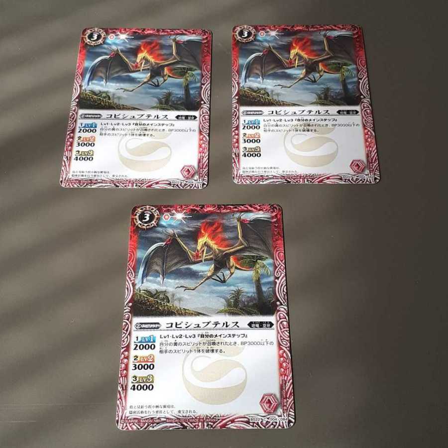 コピシュプテルス(C)