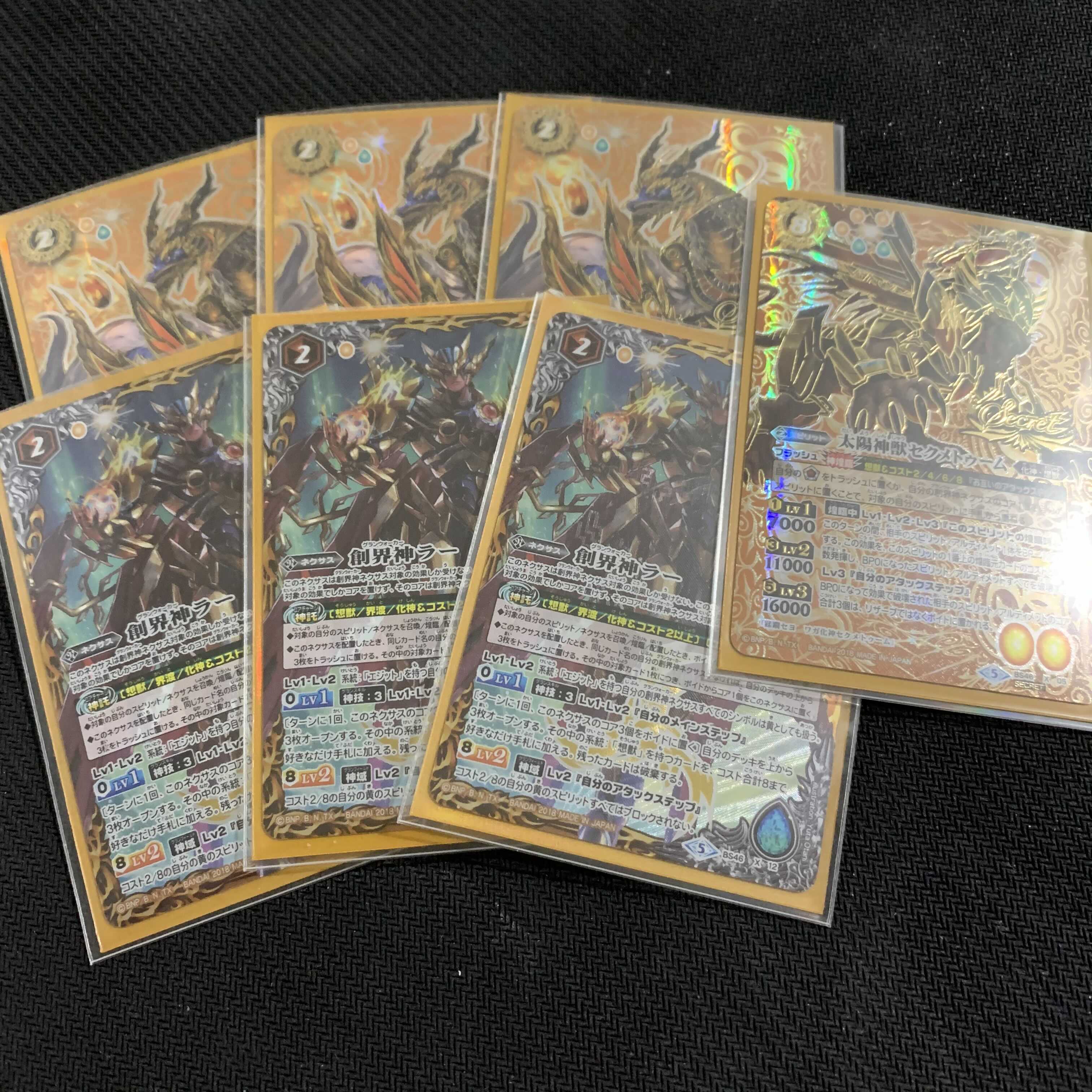 想獣　フルレート　セット