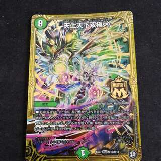 天上天下双極∞