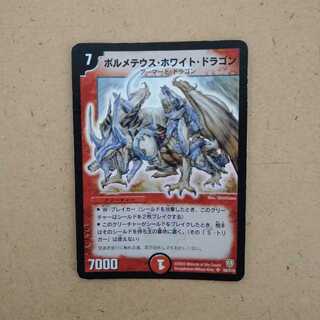 ボルメテウスホワイトドラゴン　初期