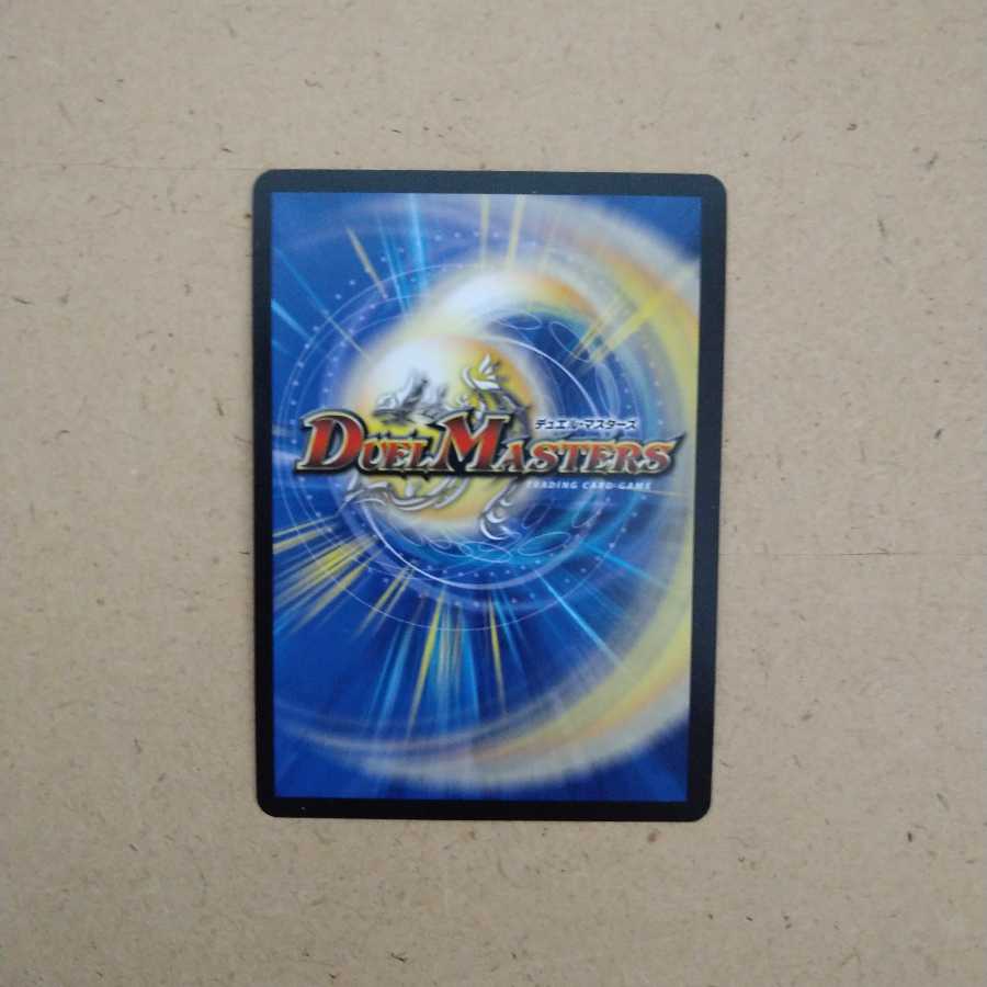 「絶対の楯騎士」