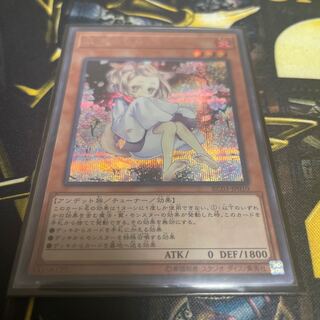 Ash Blossom & Joyous Spring (Umi external illustration) Secret Rare