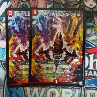 瞬閃と疾駆と双撃の決断 VR