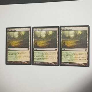 MTG　剃刀境の茂み　在庫3枚
