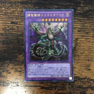 捕食植物ドラゴスタぺリア　ウルトラ