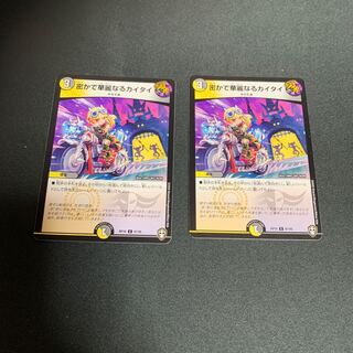 密かで華麗なるカイタイ