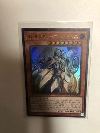 教導の騎士フルルドリス