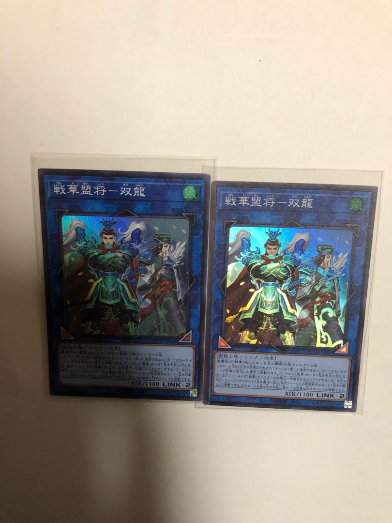 戦華盟将-双龍2枚セット