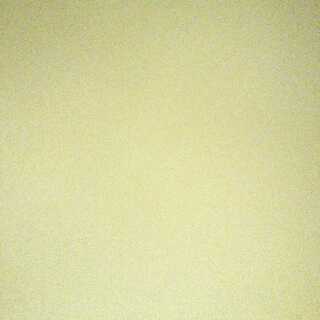 フォール・クロウラー 募集