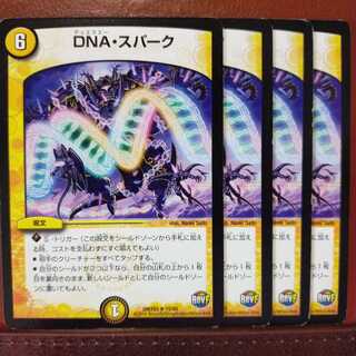セット割引　DNA・スパーク
