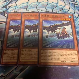 海造賊-黒翼の水先人 レア