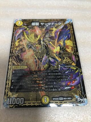 煌龍 サッヴァーク