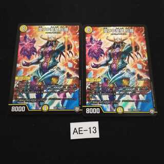 煌メク聖壁 灰瞳 2枚 AE013